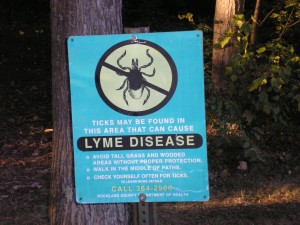 Lyme disease and IR saunas